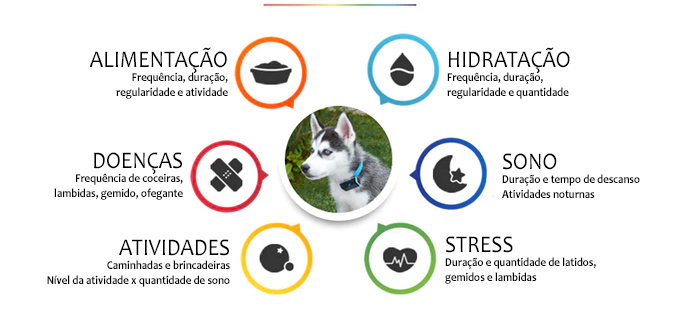 jagger-and-lewis-analise