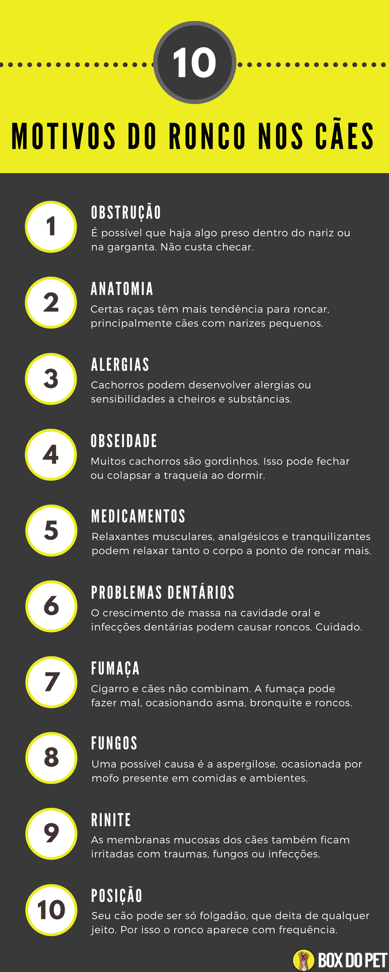 Infográfico - 10 motivos para ronco nos cães