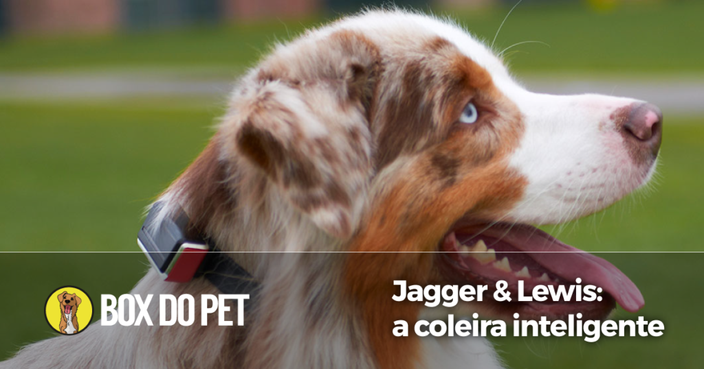 Post - Jagger & Lewis